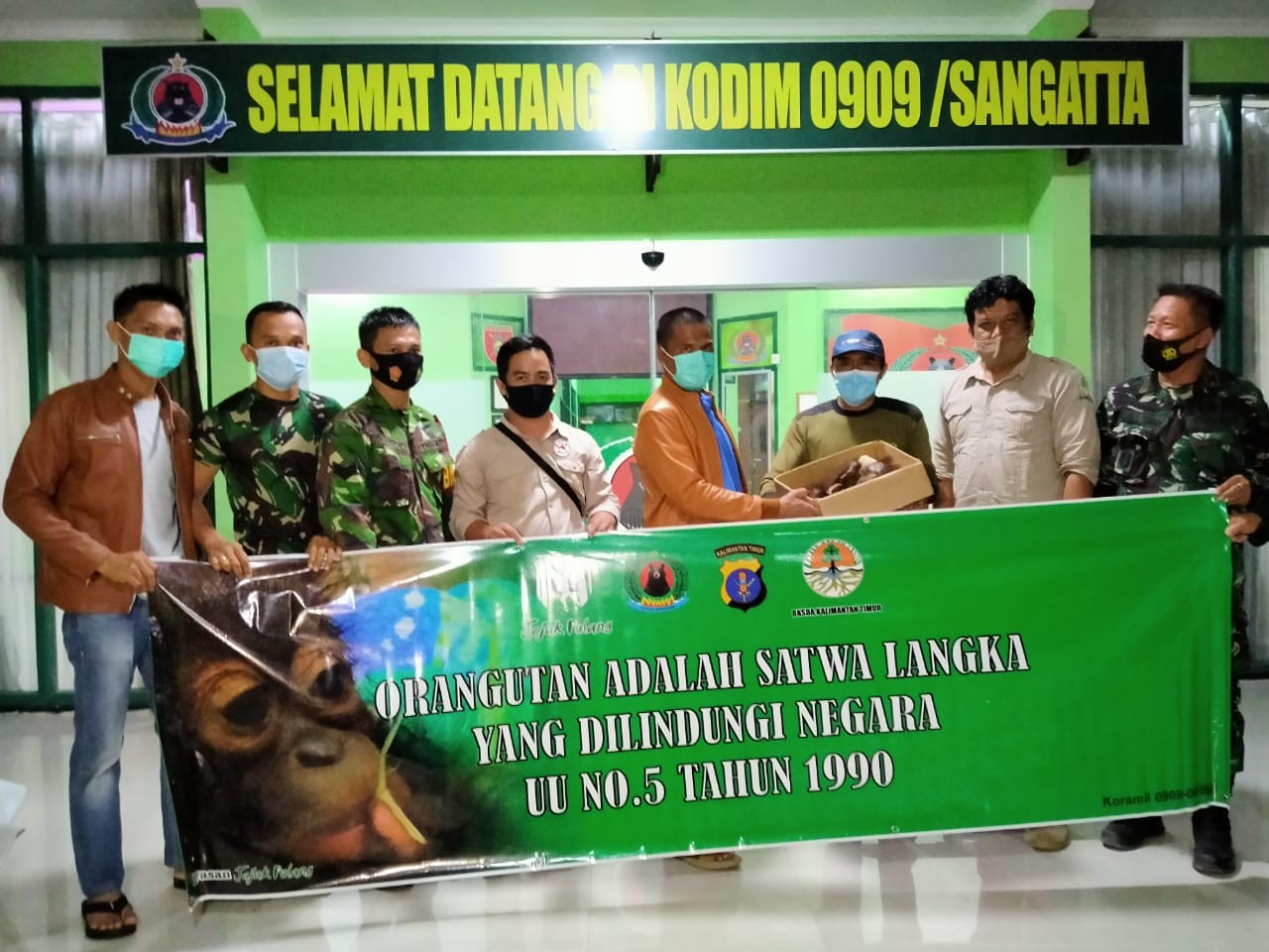 Kodim Sangatta Serahkan Anak Orang Utan ke BKSDA Kaltim, Ditemukan di Bengalon
