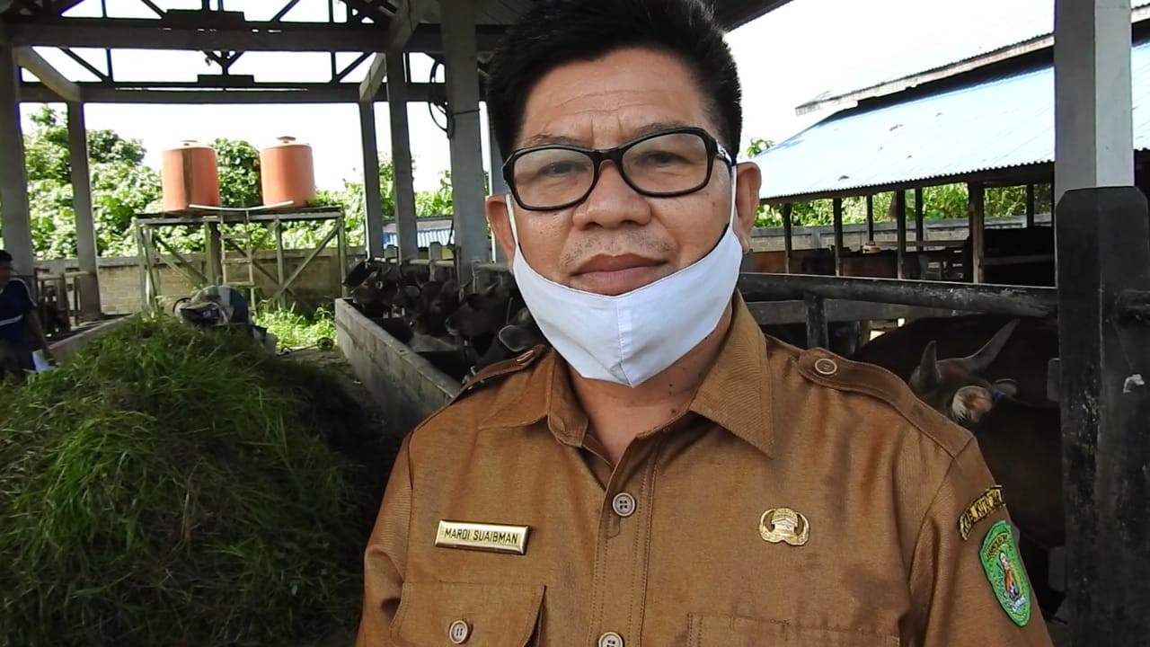 Petugas Kurban Diingatkan Taat Prokes Covid 19