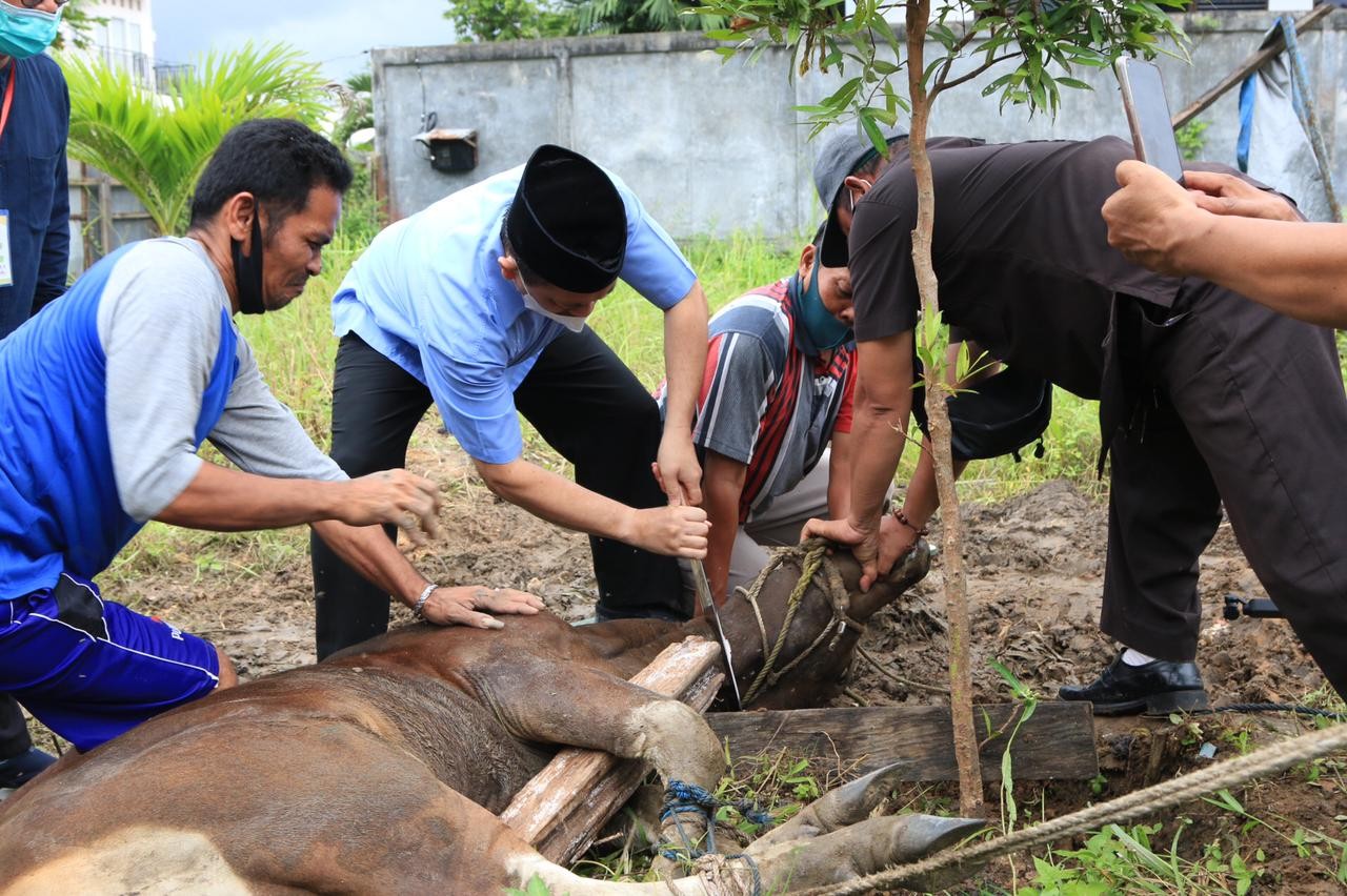 Wagub Hadi : Potong Puluhan Ekor Hewan Qurban Dengan Pisau Khusus