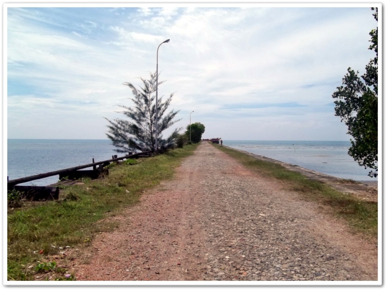 Anugrah Diterkam Buaya Saat Menyelam Di Teluk Lombok
