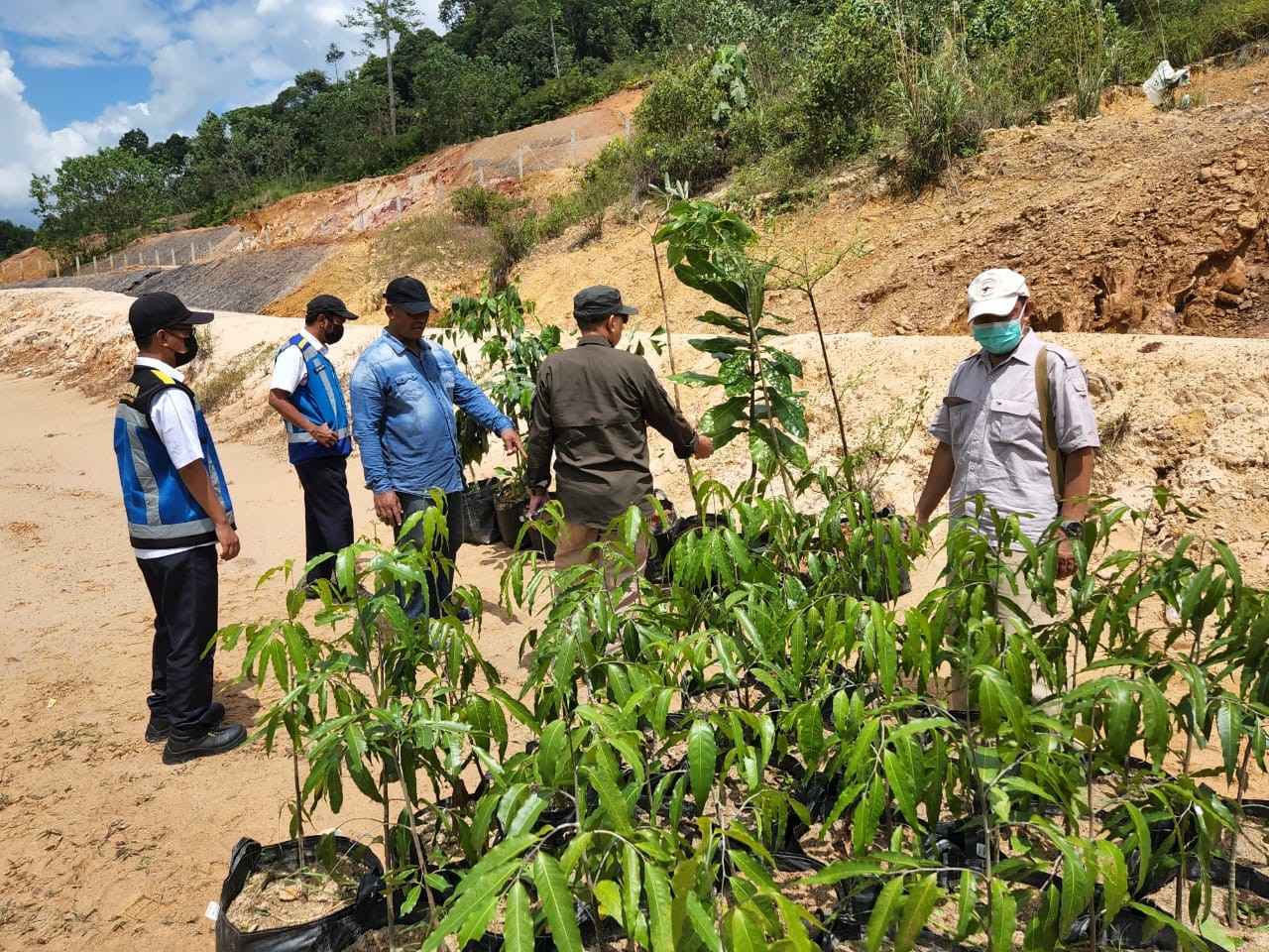BP2UPK Dukung  Penghijauan Tol Balsam