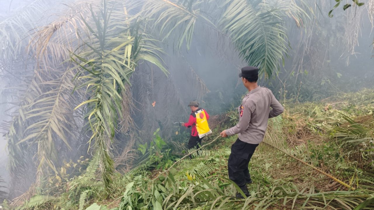 Karhutla di kutim mencapai 143 Ha baru 4 oknum yang ditangkap