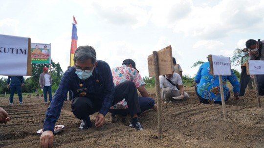 Jauhar Tanam Bawang Merah di Kaubun