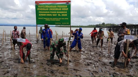 Koramil Sangkulirang, Tanam Mangrove di Maloy