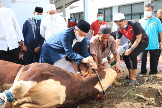 Dengan Pisau Khusus, Wagub Kembali Potong Sapi Presiden