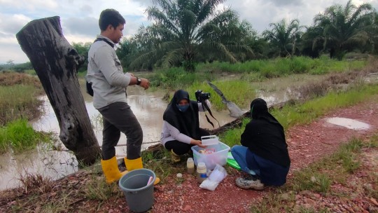 Warga Bengalon Duga Sawah Mereka Terendam Lumpur Tambang