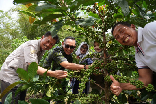 Saat Berkunjung ke Kampung Kopi Luwak Prangat Baru, Wagub Optimis Ekspor   