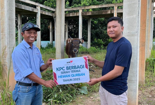 Di Wilayah OperasionalNYA KPC berkurban  67 ekor sapi 